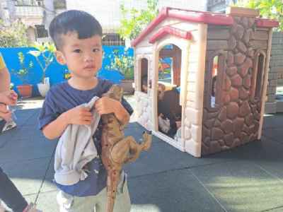 photo